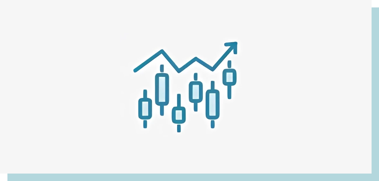 Stock Information